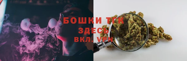 МДПВ Богородицк