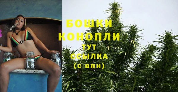 PSILOCYBIN Беломорск