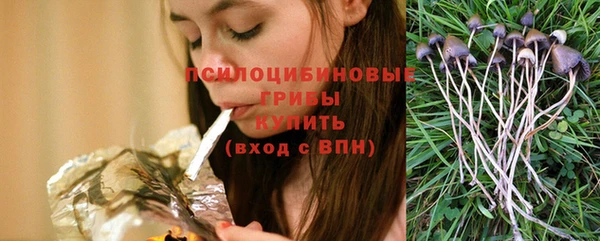 МДПВ Богородицк