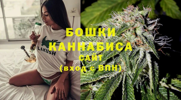 PSILOCYBIN Беломорск