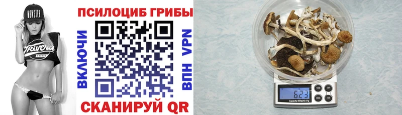 Галлюциногенные грибы MAGIC MUSHROOMS  Богородицк 